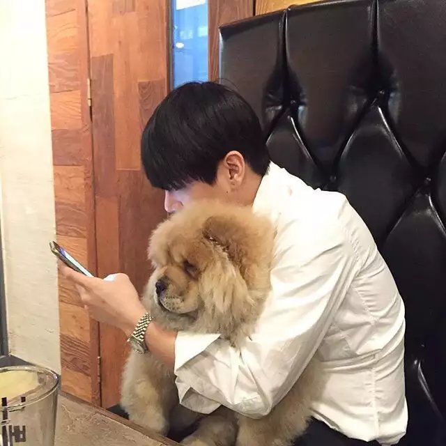 习苇露泰