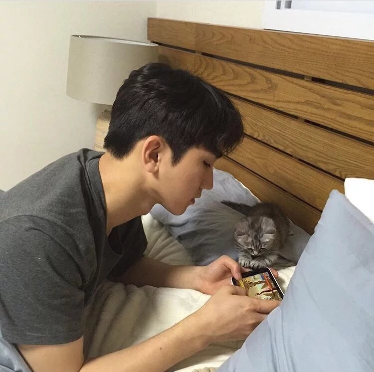 荆梅翰波