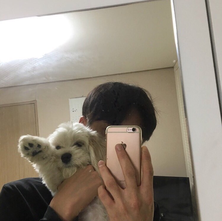尹涛蓉朗