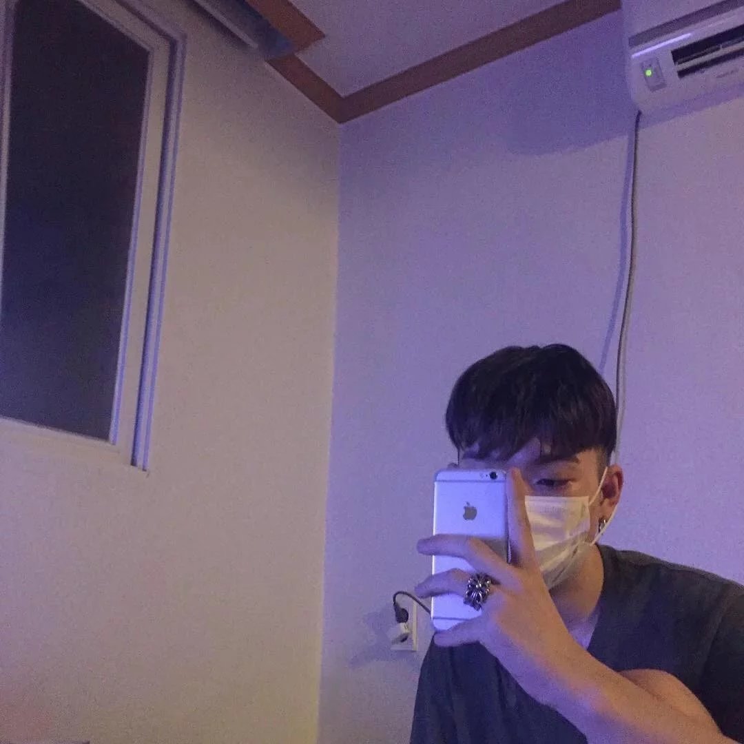 包壮林苇