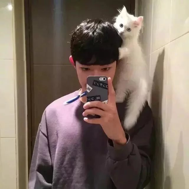 裴瑶国涛