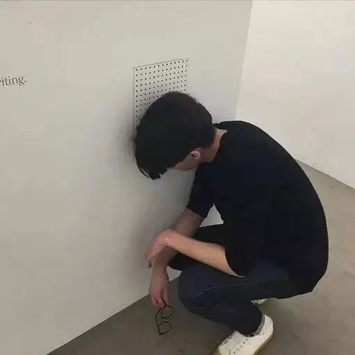 毛蕊仁儿