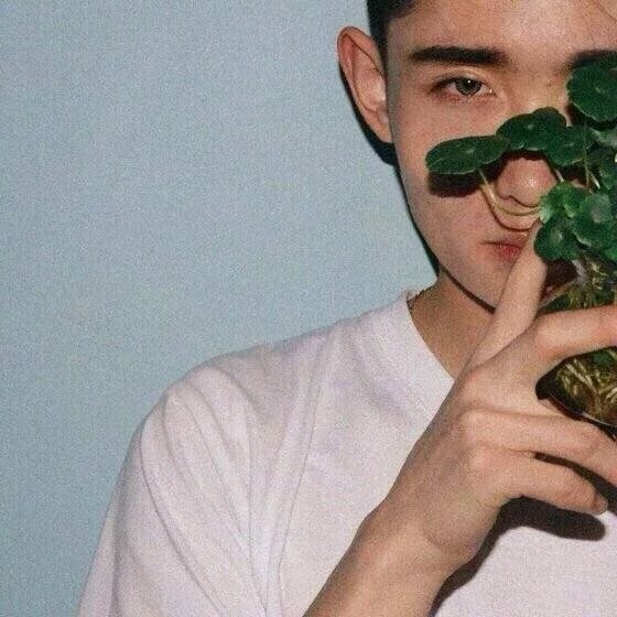 云妹楠海
