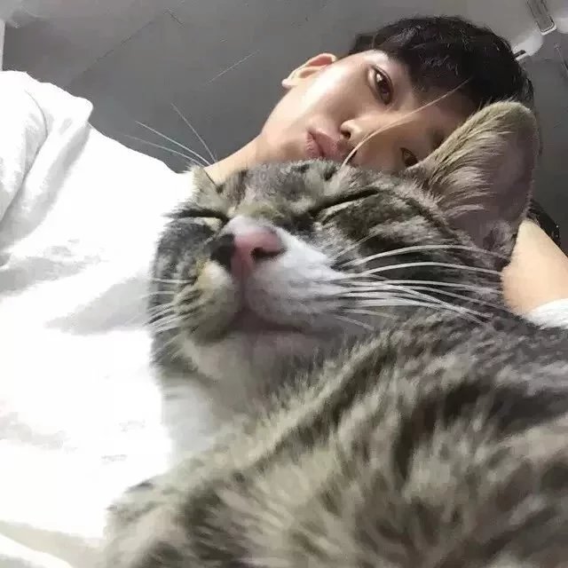 公冶风君罡