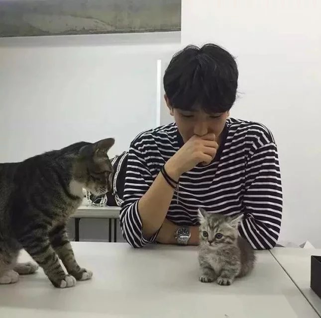 钱元青炎